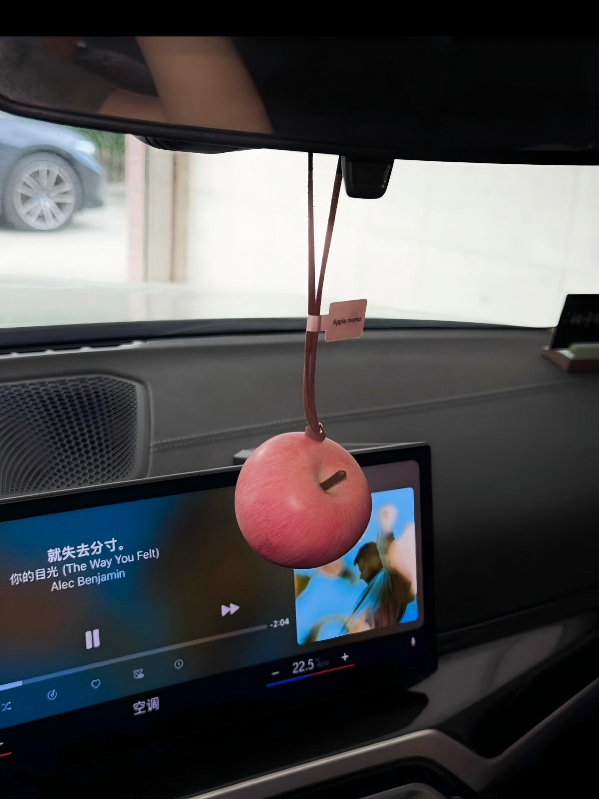 MOMO Realistic Pink Apple Charm