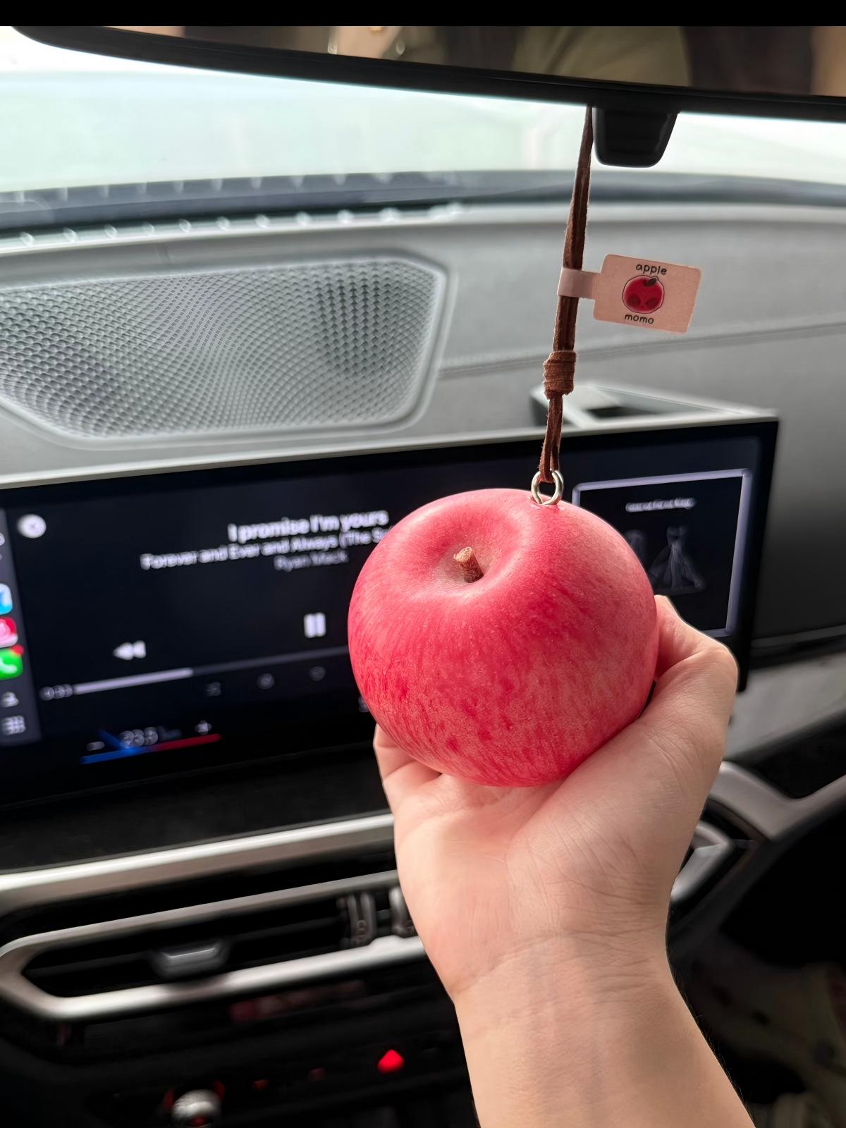 MOMO Realistic Pink Apple Charm
