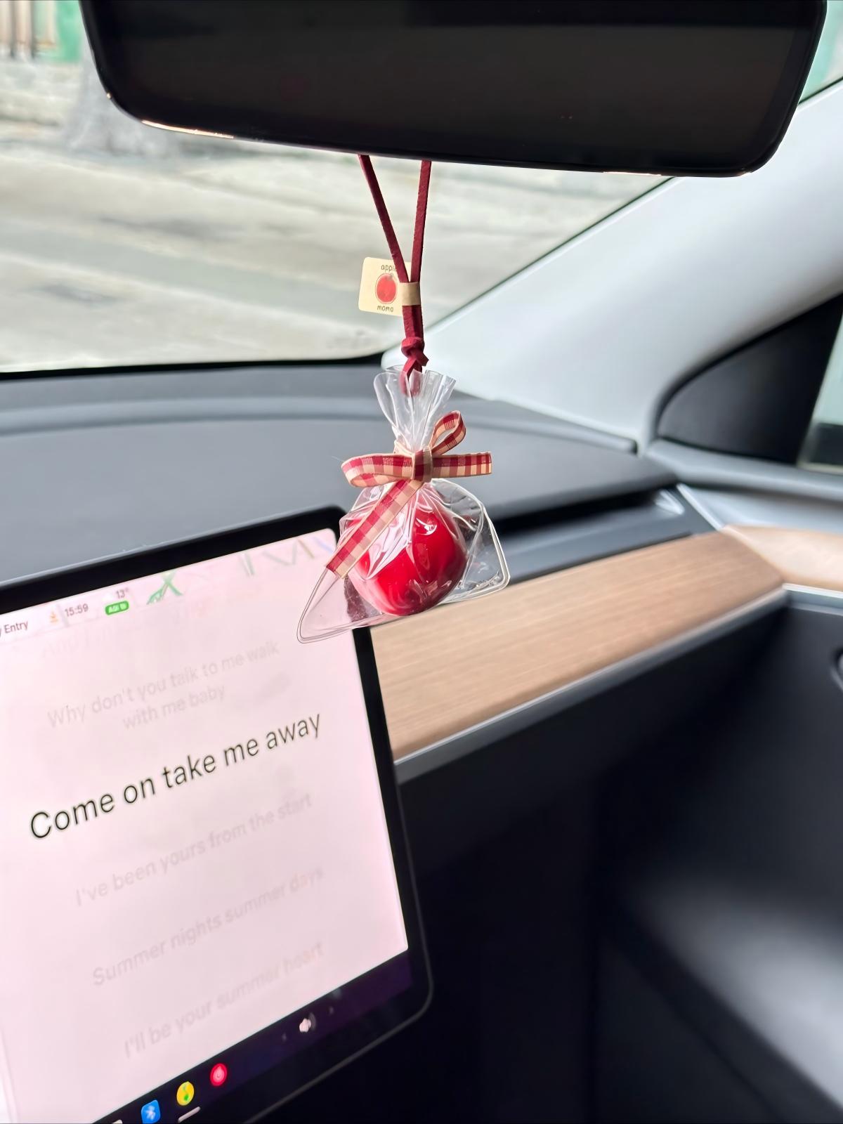 MOMO Realistic Apple Pouch Charm